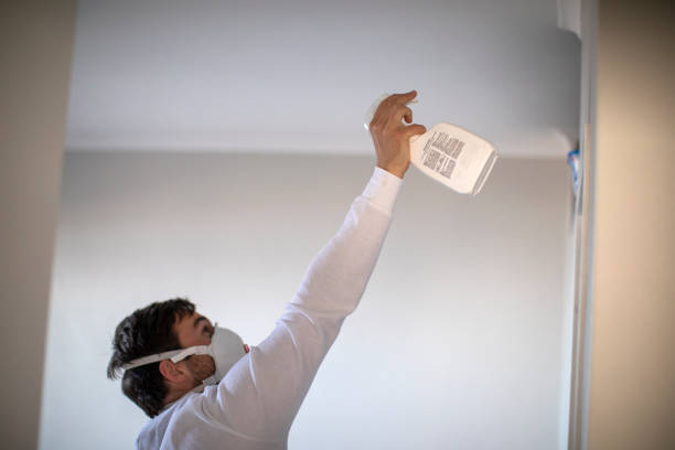 Best Mold Removal Company Near Me  in Guin, AL