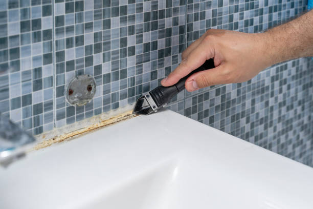 Best Mold Remediation  in Guin, AL